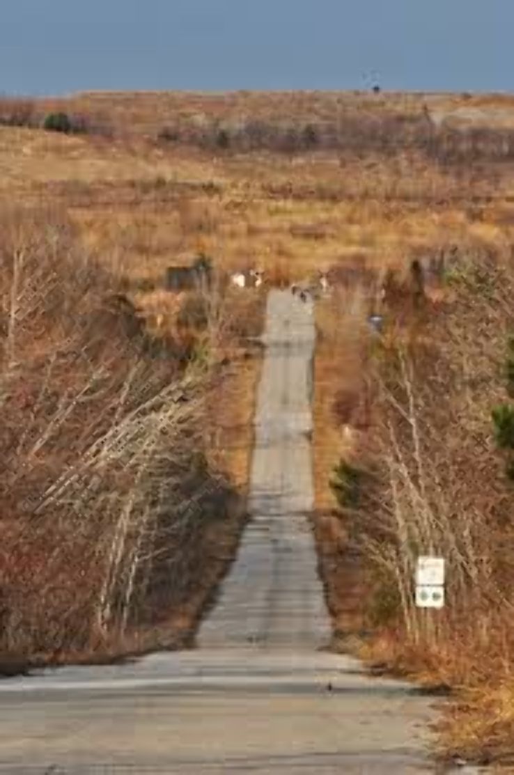 Rouge National Urban Park Trip Packages