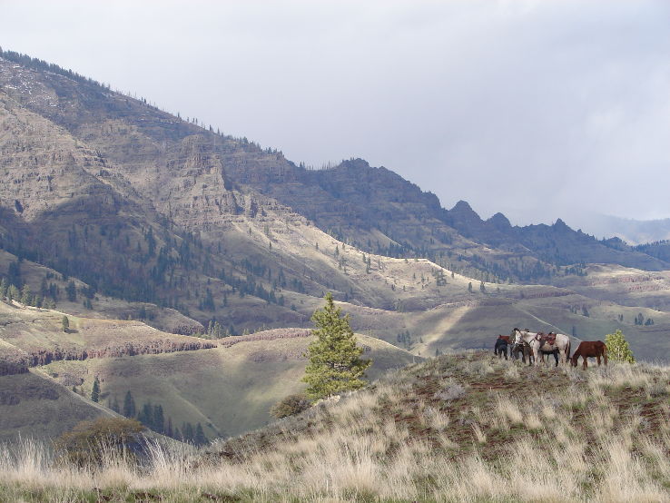 Hells Canyon Recreation Area  Trip Packages