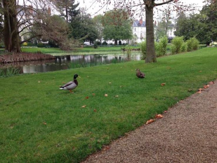 Garden of the Prebendes dOe Trip Packages