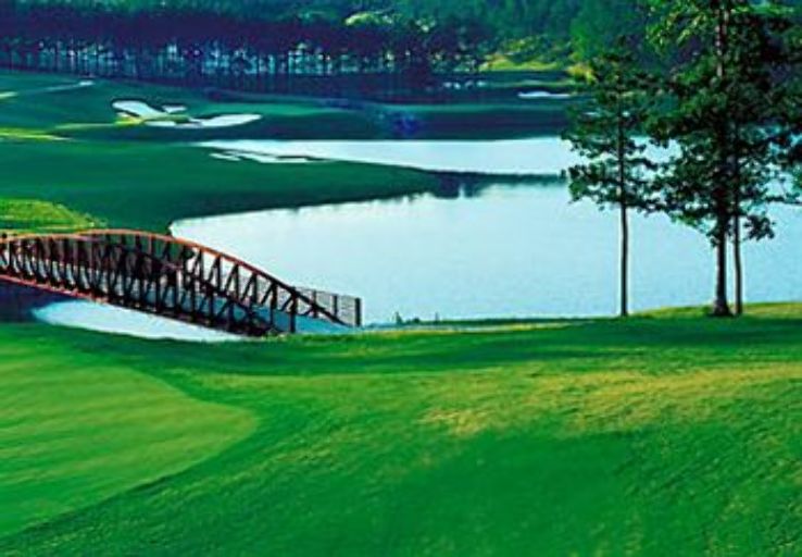 Indulge Yourself At The Ross Bridge Golf Resort Trip Packages