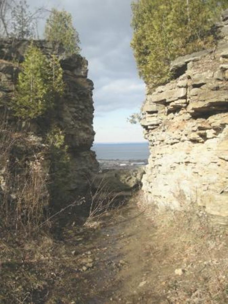 Beamer Memorial Conservation Area Trip Packages