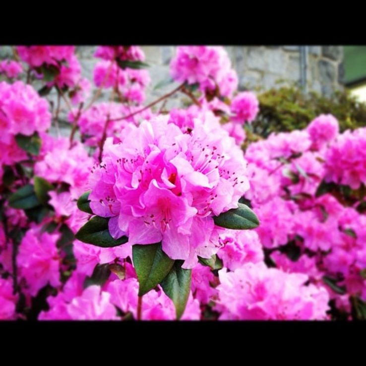 Reservoir Park Trip Packages