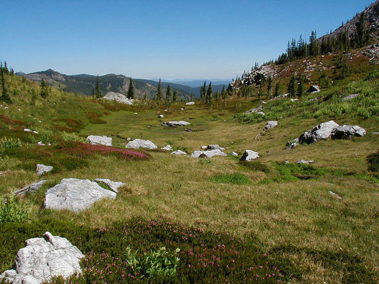 Clearwater National Forest  Trip Packages