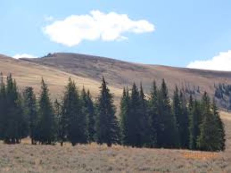 Frank Church River of No Return Wilderness Area  Trip Packages