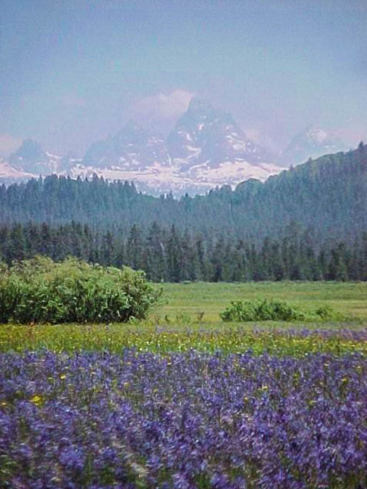 Caribou-Targhee National Forest  Trip Packages