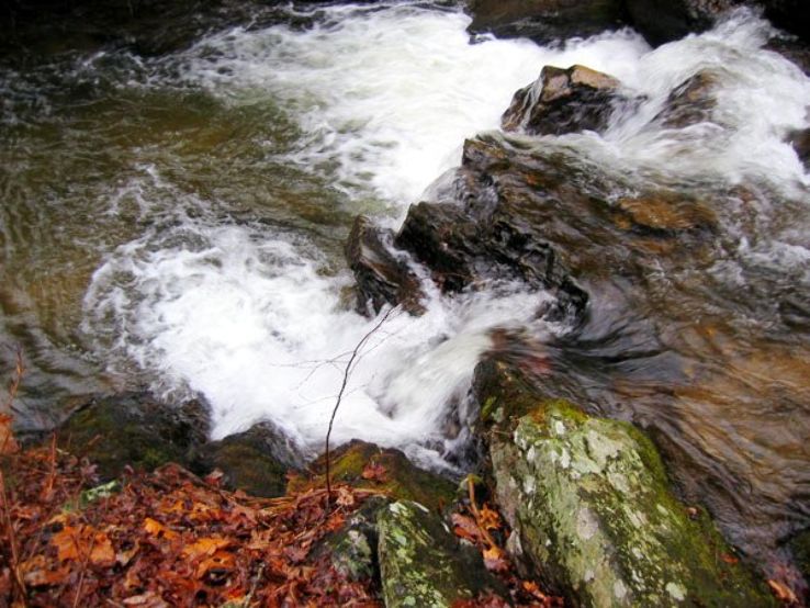 Anna Ruby Falls Trip Packages