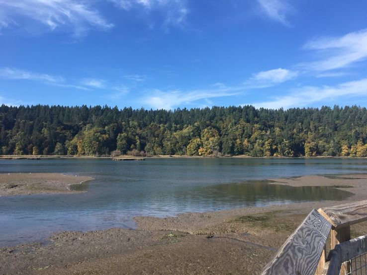 Billy Frank Jr. Nisqually National Wildlife Refuge Trip Packages