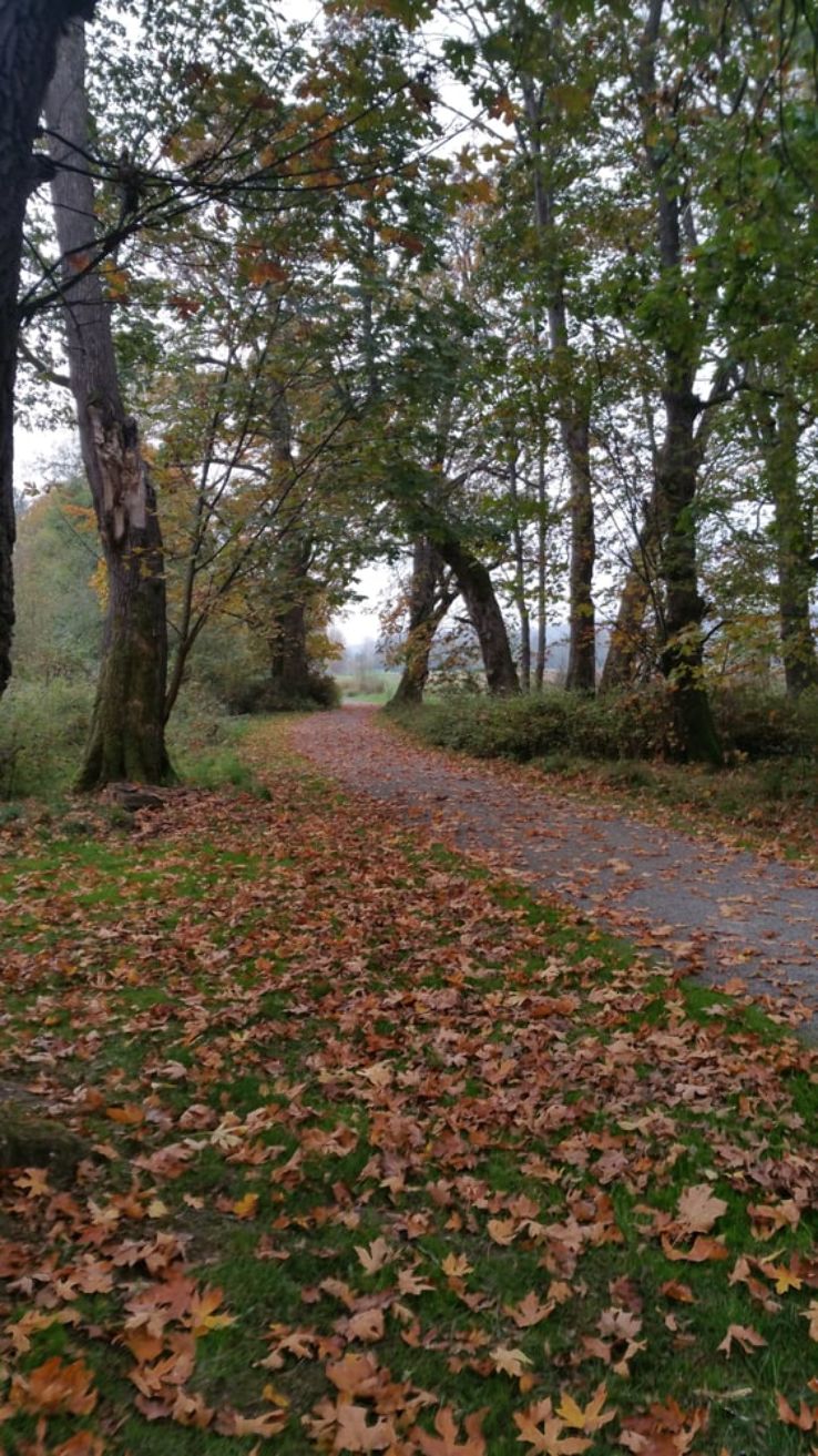 Billy Frank Jr. Nisqually National Wildlife Refuge Trip Packages