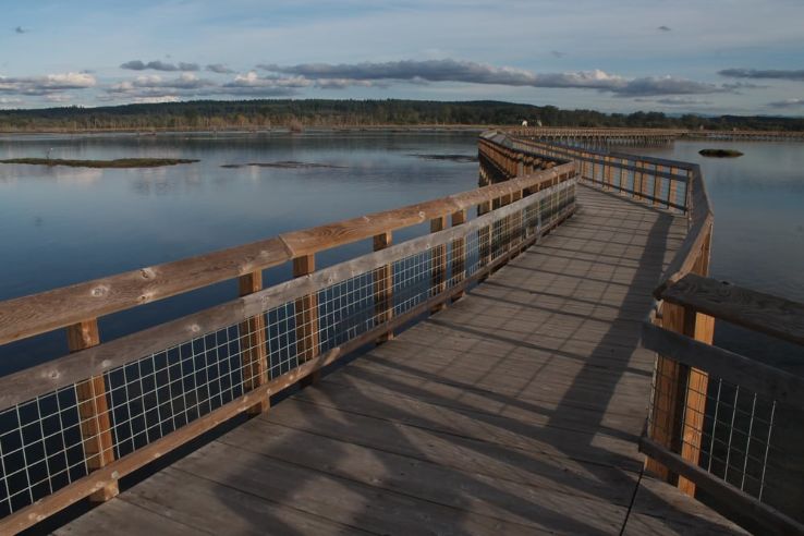 Billy Frank Jr. Nisqually National Wildlife Refuge Trip Packages