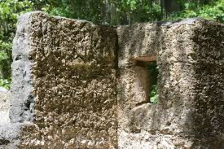 Wormsloe Historic Site Trip Packages