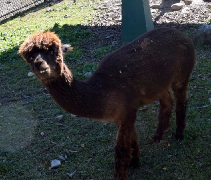 Forsyth Nature Center Trip Packages