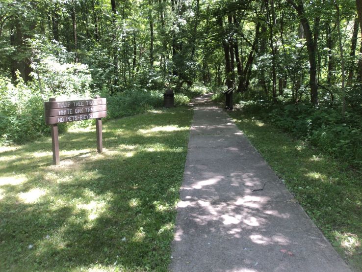 Mount Carmel Trip Packages