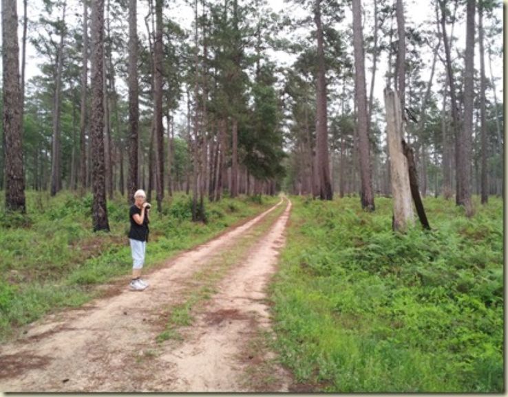 Tyler State Park Trip Packages