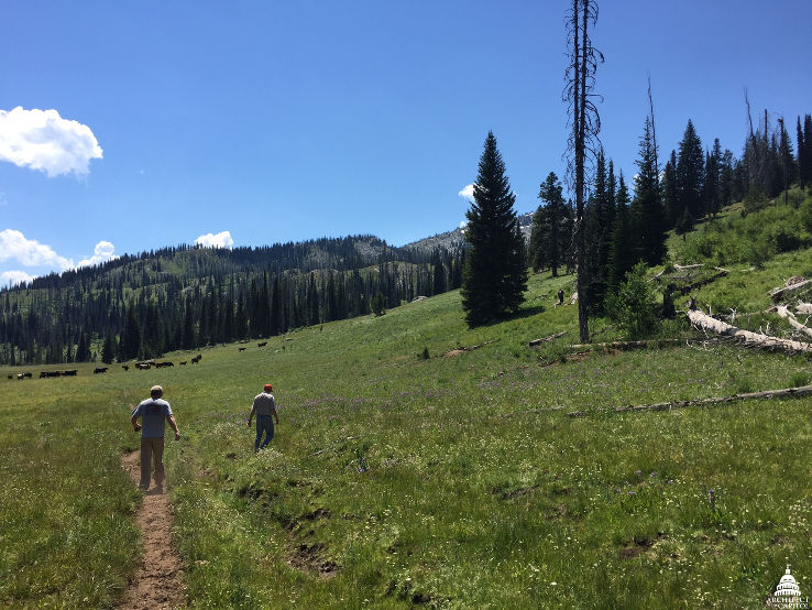 Payette National Forest  Trip Packages