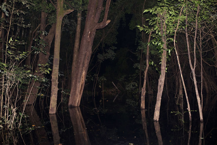 Amadeu Botelho Ecological Reserve  Trip Packages