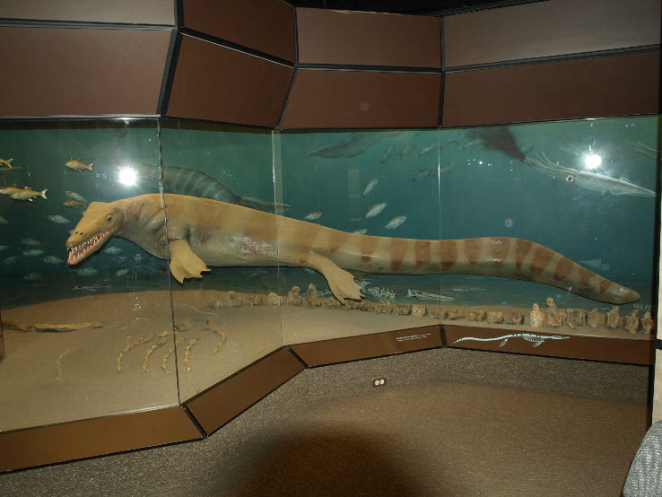 Canadian Fossil Discovery Centre Trip Packages