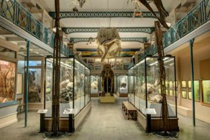 The Natural History Museum Tours Trip Packages