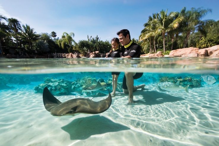 Discovery Cove Trip Packages