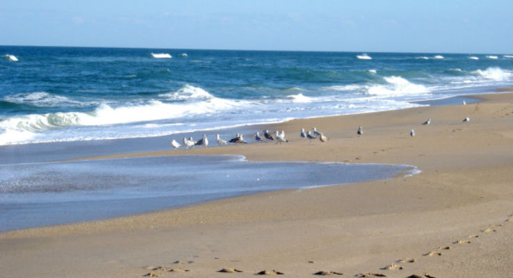 Canaveral National Seashore Trip Packages