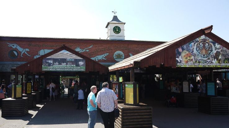 Chester Zoo and the Blue Planet Aquarium Trip Packages