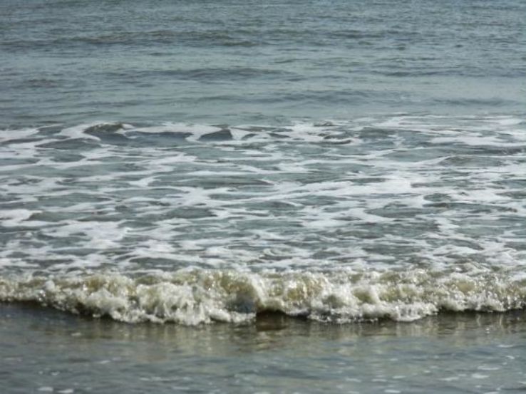 Crocodile Breeding Centre Trip Packages