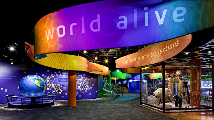  Discovery Place Trip Packages