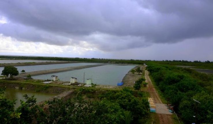 Bakkhali Watch Tower Trip Packages Bakkhali Watch Tower Trip Packages