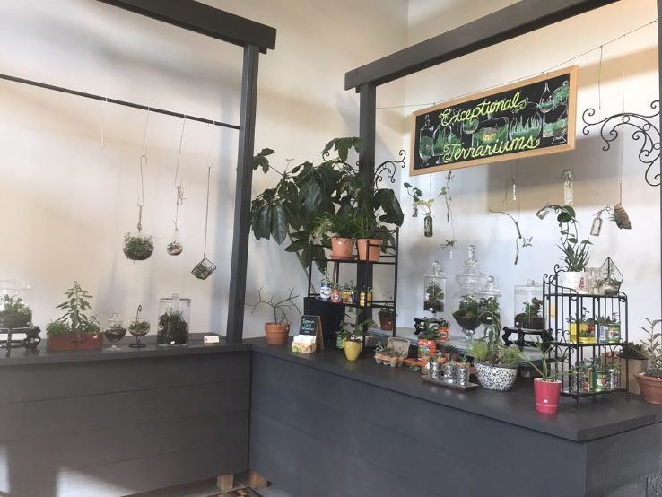 Chef Alyssas Kitchen Trip Packages