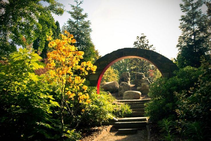 UNC Charlotte Botanical Gardens Trip Packages