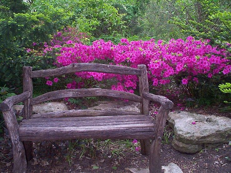 Botanica Wichita Gardens Trip Packages