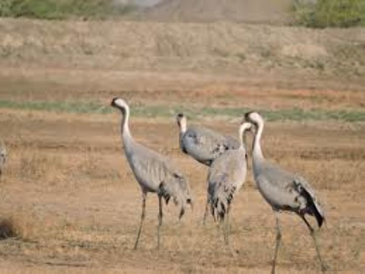 Little Rann of Kutch Wildlife Sanctuary Trip Packages