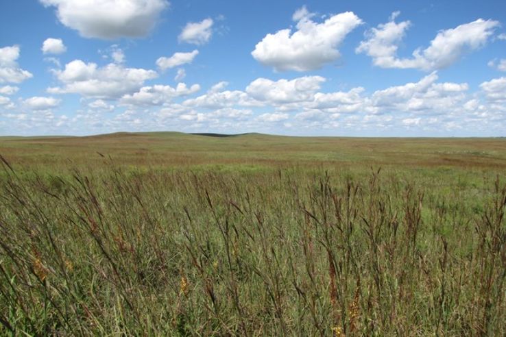 Tallgrass Prairie National Preserve Trip Packages