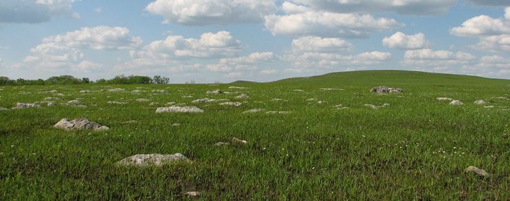Tallgrass Prairie National Preserve Trip Packages