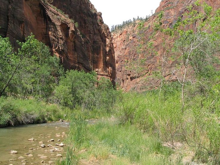 Virgin River Trip Packages