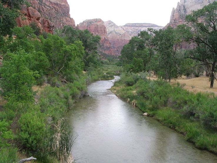 Virgin River Trip Packages