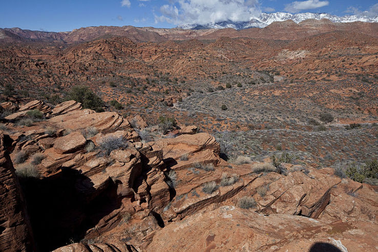 Red Cliffs National Conservation Area Trip Packages