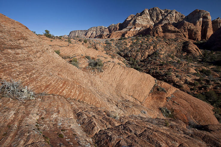 Red Cliffs National Conservation Area Trip Packages