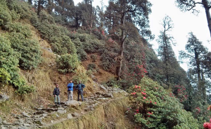 Camping and Trekking at Lahesh Caves Trip Packages