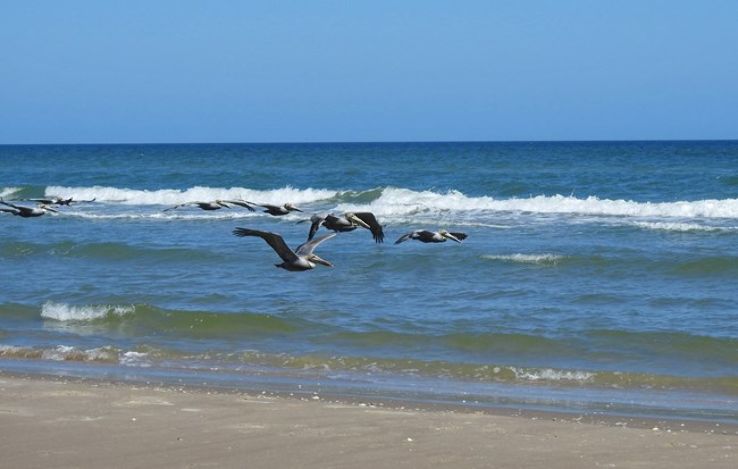  Padre Island National Seashore Trip Packages