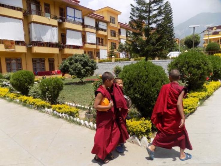 Meditate at Gyuto Monastery Trip Packages