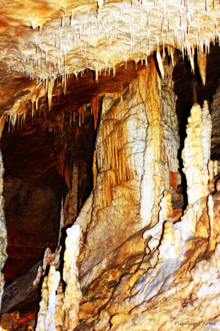 Natural Bridge Caverns Trip Packages