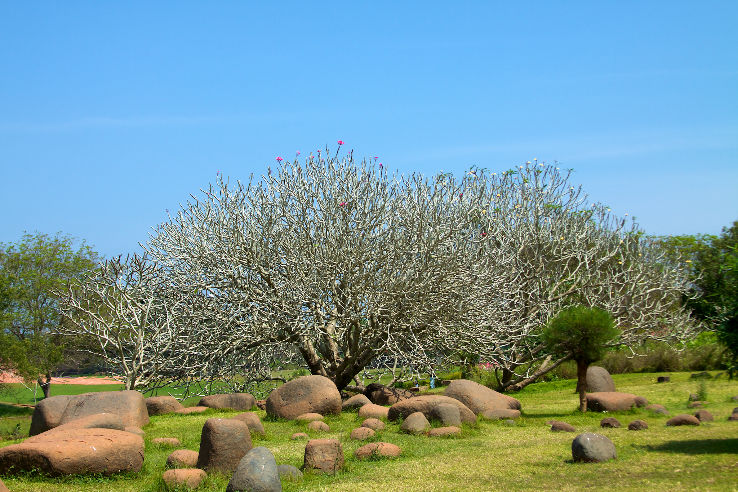 Matrimandir Trip Packages