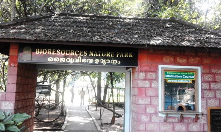 Nilambur Teak Museum Trip Packages