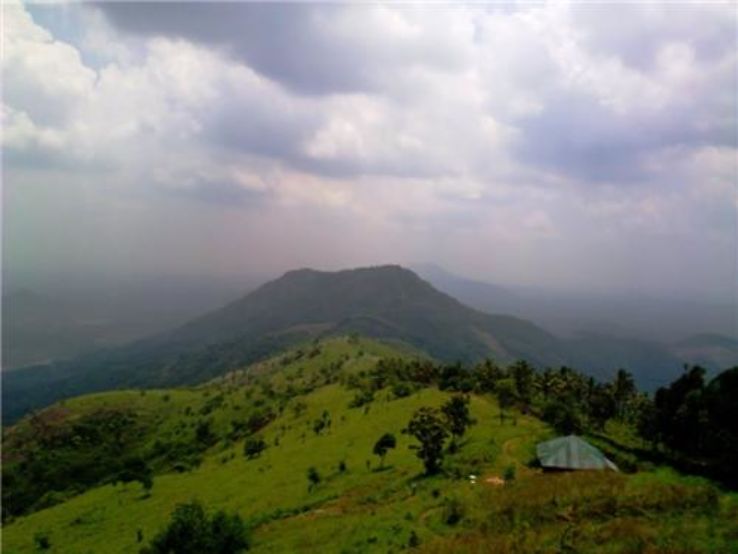 Kodikuthimala Trip Packages