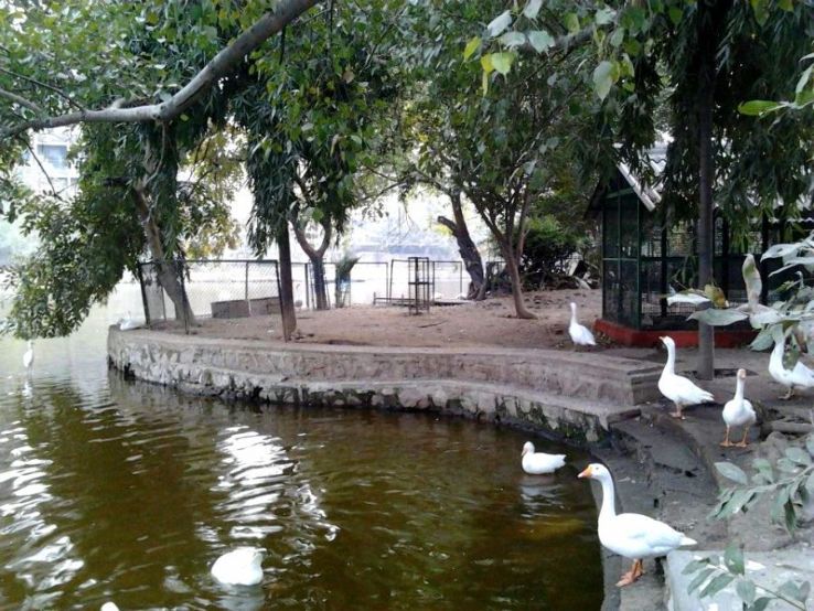 Prasad Nagar Lake Trip Packages