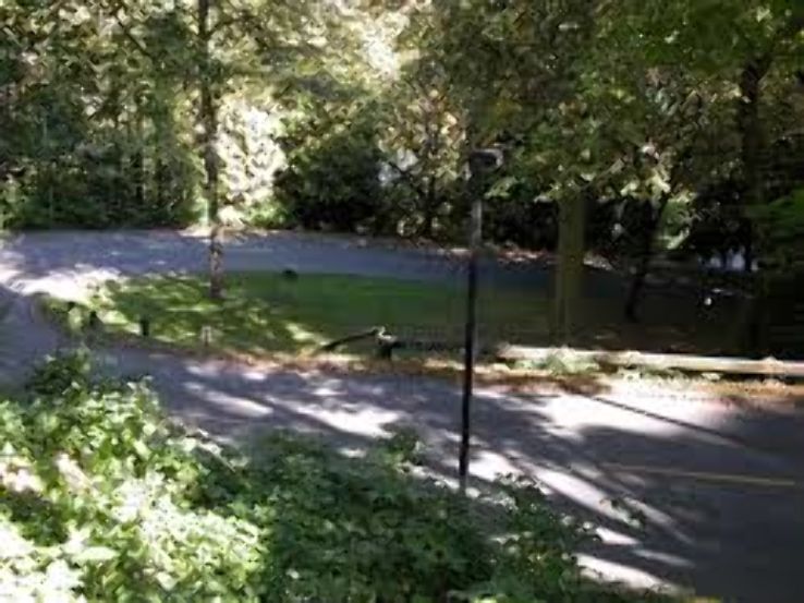 Davis Park  Trip Packages