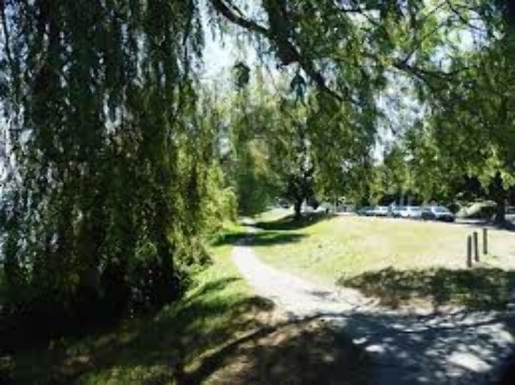 Davis Park  Trip Packages