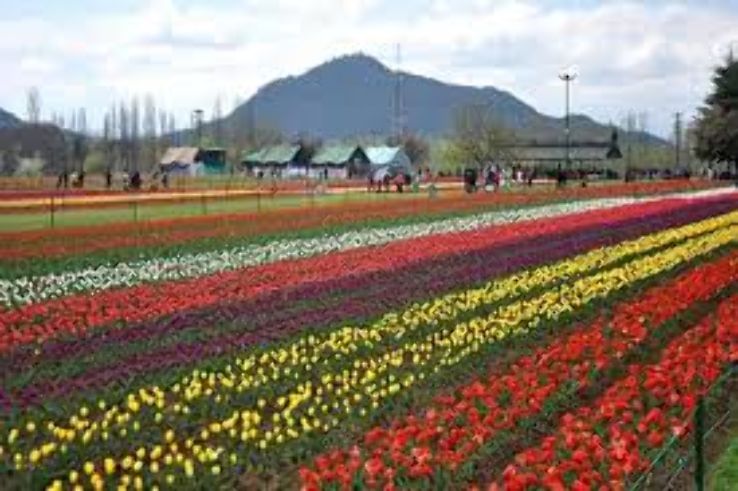 Kokernag Rose Garden Trip Packages