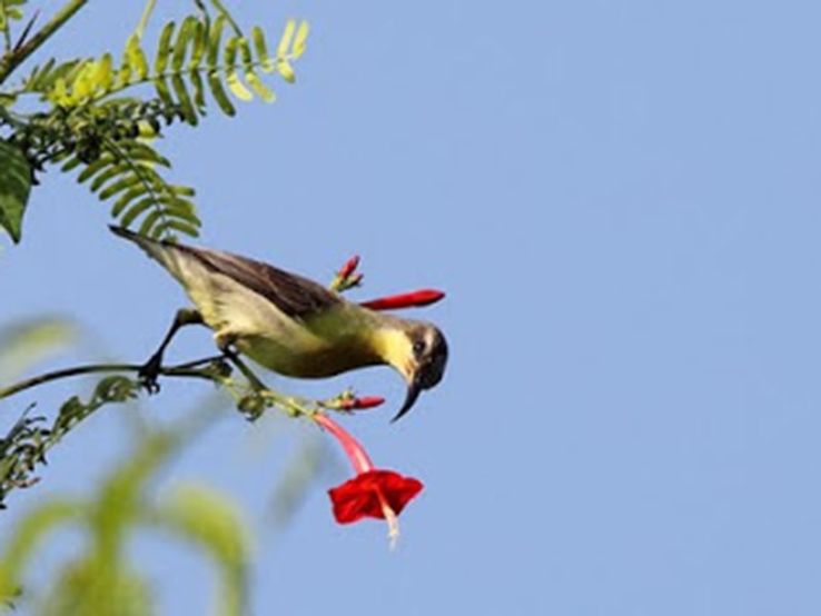 Ngengpui Wildlife Sanctuary Trip Packages