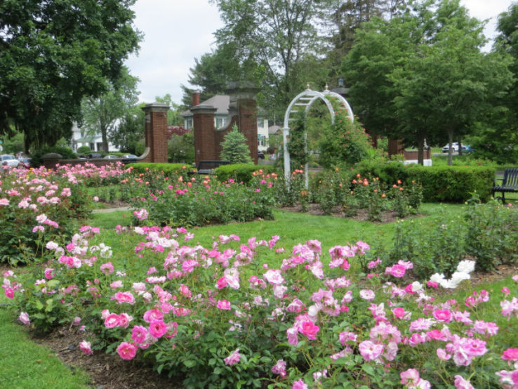 Central Park Rose Garden Trip Packages